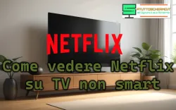 Come vedere Netflix su una TV non Smart: guida semplice e veloce Come vedere Netflix su TV non smart